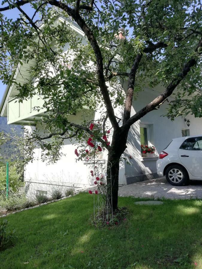 בלד Apartma Neza מראה חיצוני תמונה